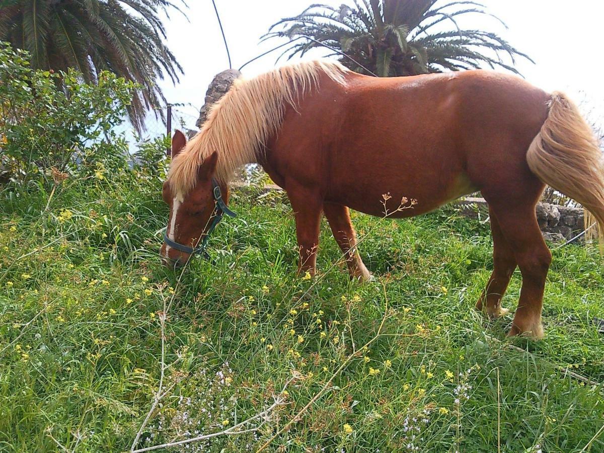 Azienda Agrituristica Le Terre Di San Leonardo Cetraro Exterior foto