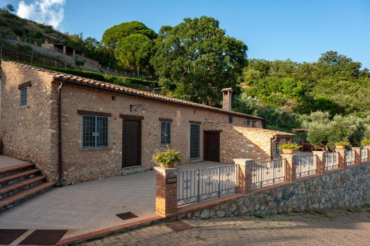 Azienda Agrituristica Le Terre Di San Leonardo Cetraro Exterior foto